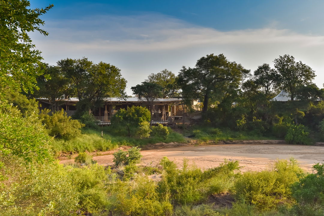 Saseka luxury safari lodge main area from riverbed
