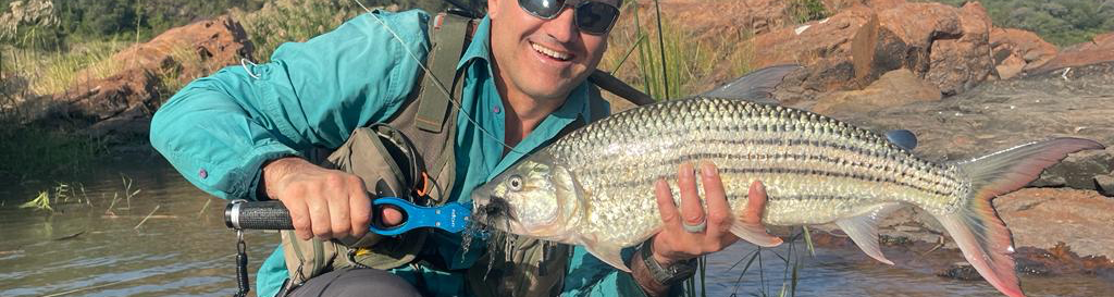 fly fisherman holding a big tigerfish caught in komati river on fly