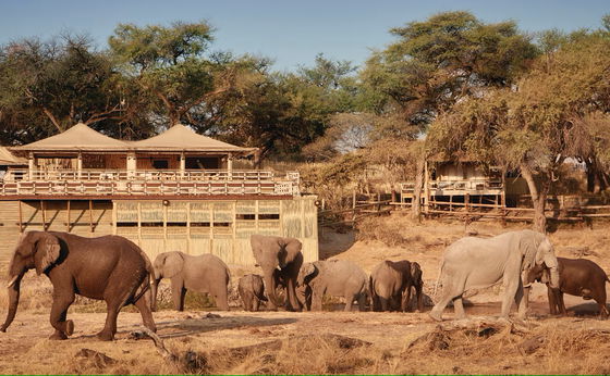 Belmond Savute Elephant Lodge