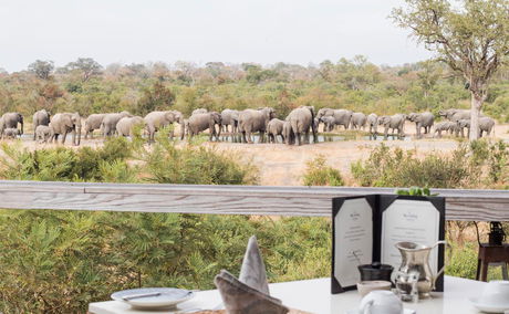 South African Safaris Simbambili Game Lodge 