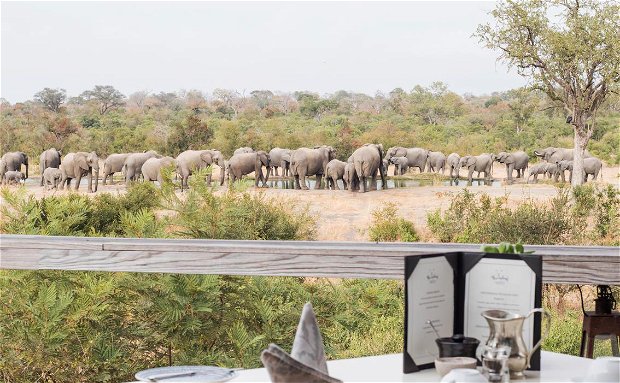 South African Safaris Simbambili Game Lodge 