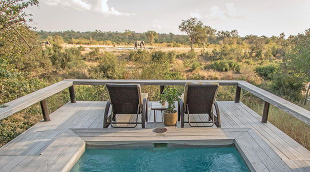 Simbambili Game Lodge 