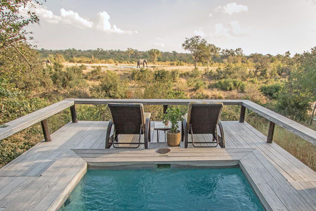 Simbambili Game Lodge 