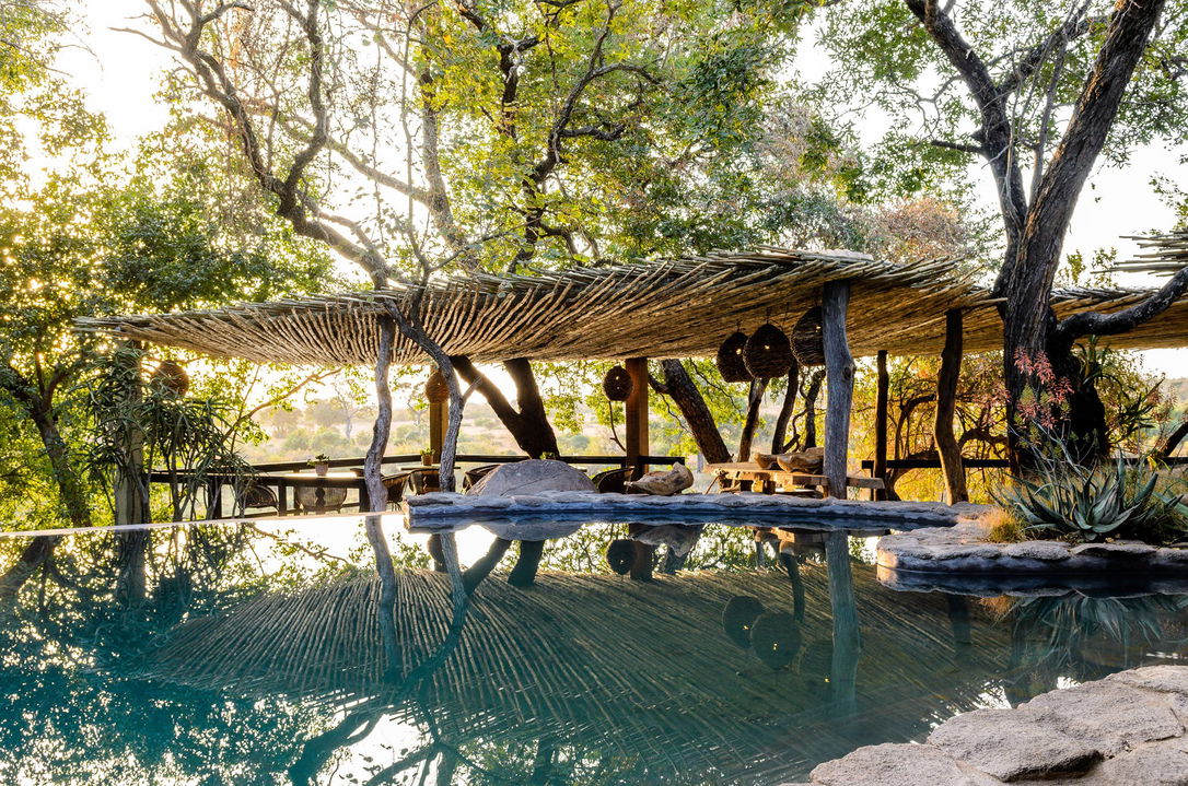 main pool area under trees by singita boulders lodge