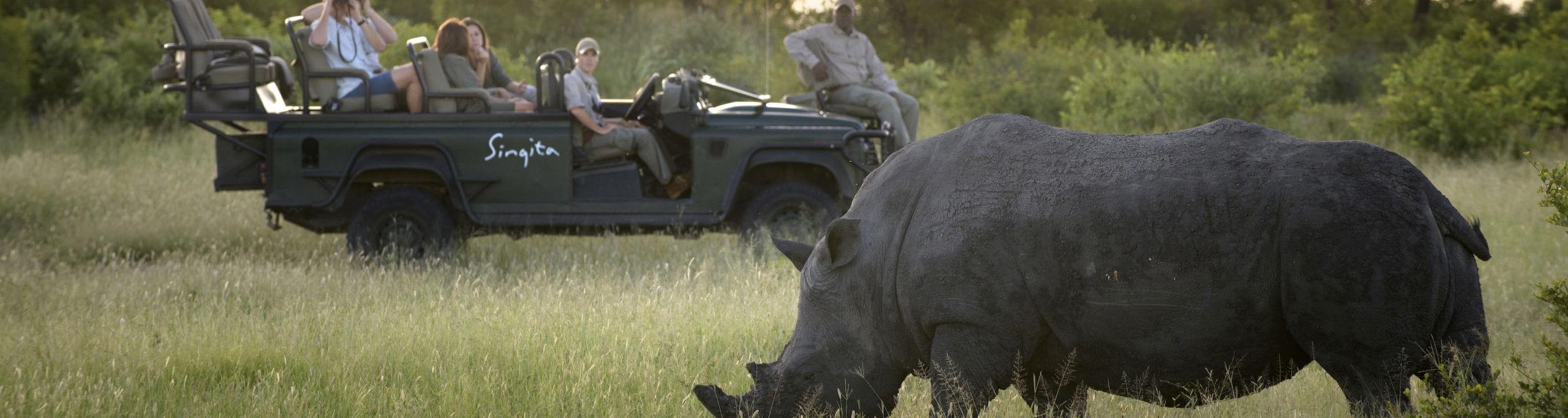 secrets vip luxury tours sighting - rhino spotted on safari