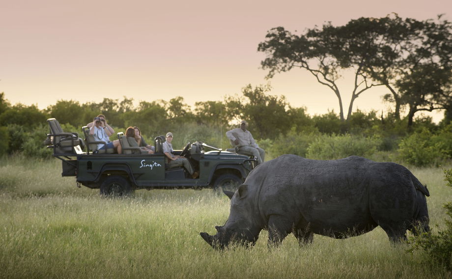 rhino spotted by game drive vehicle at singita castleton lodge