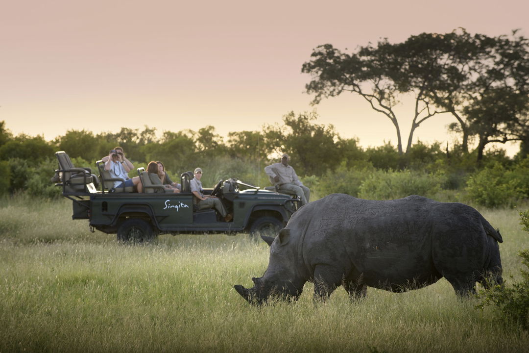 rhino spotted by game drive vehicle at singita castleton lodge