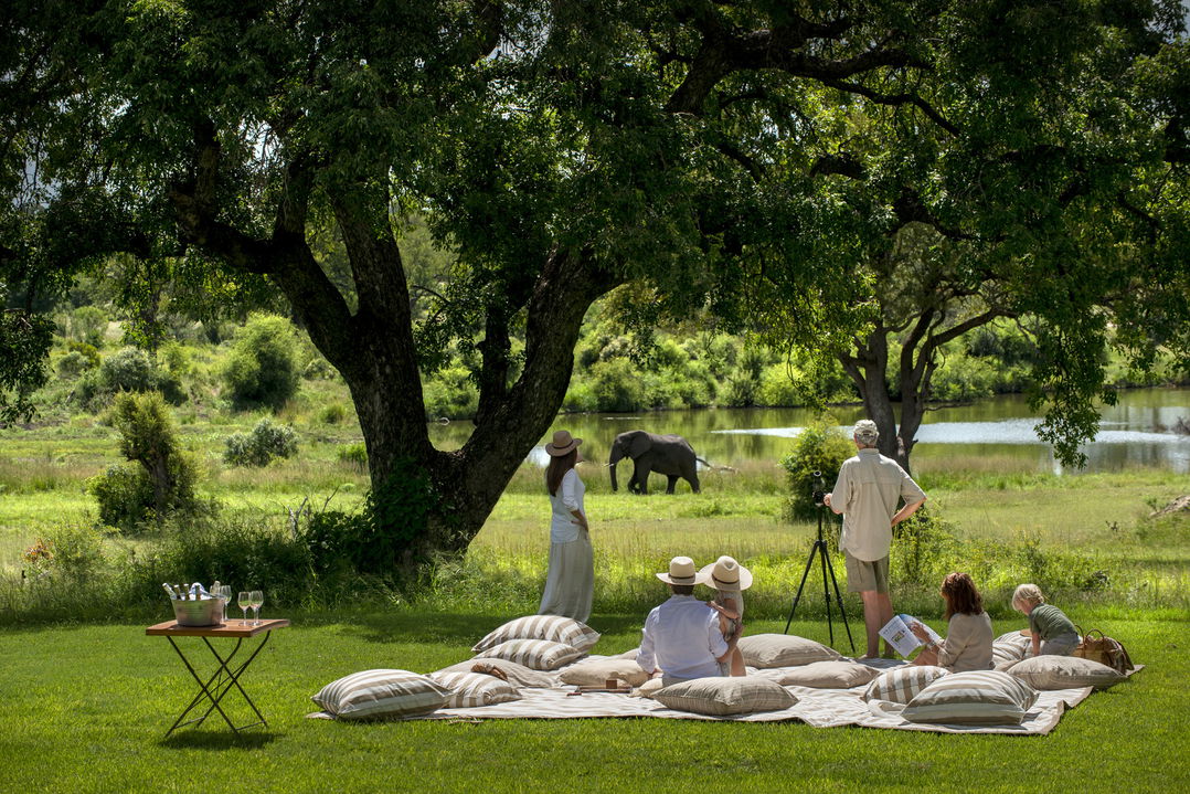 guest on lawn picknicking and watching game at waterhole by singita castleton lodge