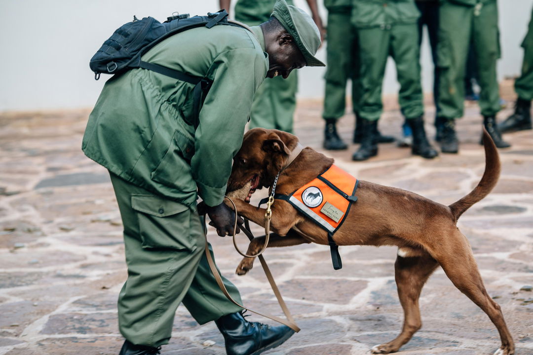 anti poaching ranger and his dog at Singita Faru Faru lodge Serengeti