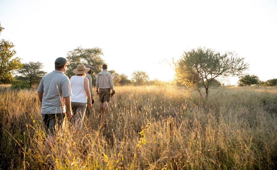 bushwalking at singita kruger national park and a guide