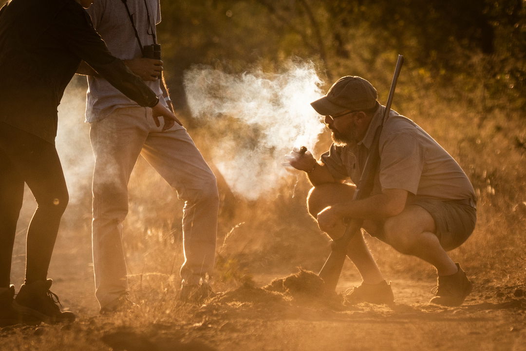 guide explaining tracks to guests at sibgita kruger national park