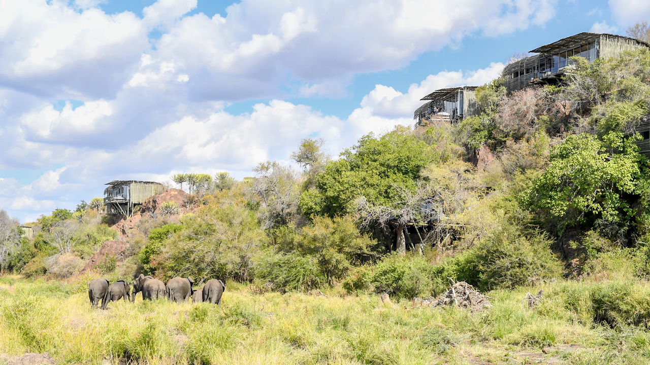 external view of suite on a rocky ledge at singita lebombo lodge 