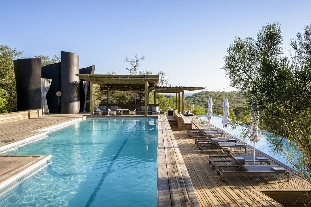 olympic size swimming pool view with bush behind at singita lebombo lodge