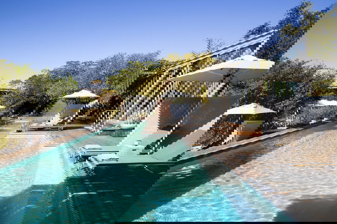 view of the main pool at singita lebombo lodge