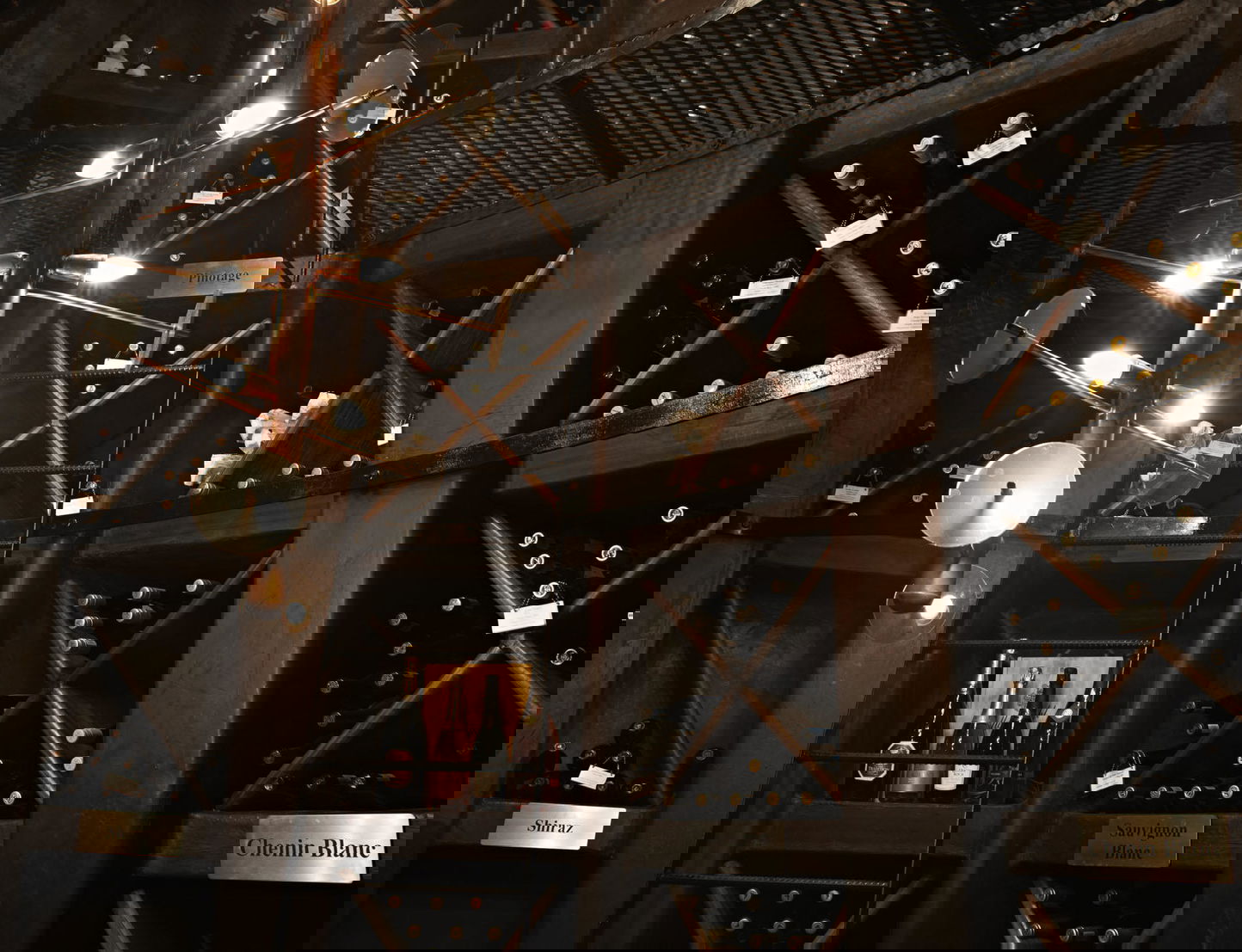 wine cellar at singita lebombo lodge