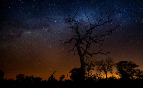 stars at night in the bush by singita sabi sand stars at night in the bush by singita sabi sand
