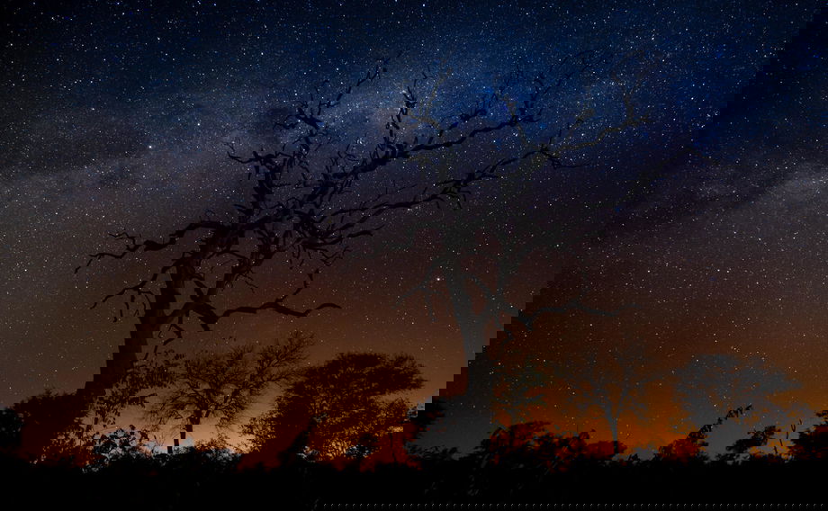 stars at night in the bush by singita sabi sand