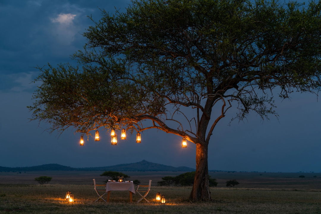 busg dinner setting under a tree on plains by Singita Sabora Tented Camp Serengeti 