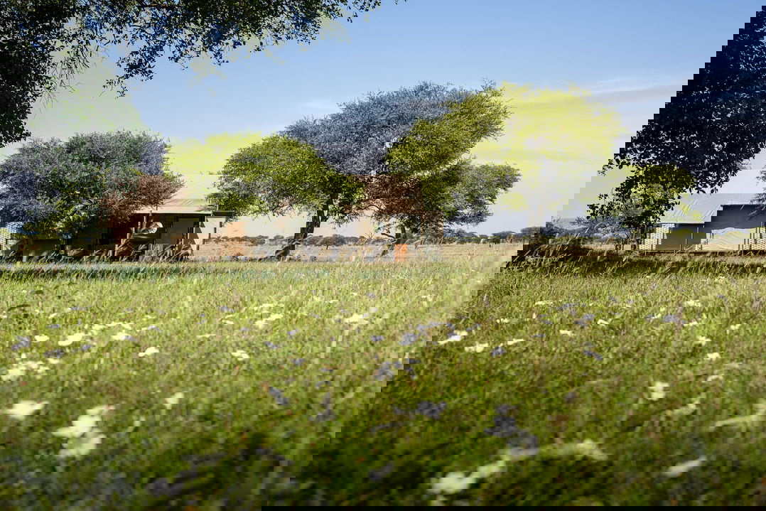 exterior view of a tented suite at Singita Sabora Tented Camp Serengeti 