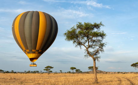 hot air balloon flying over the plains of the Serengeti hot air balloon flying over the plains of the Serengeti