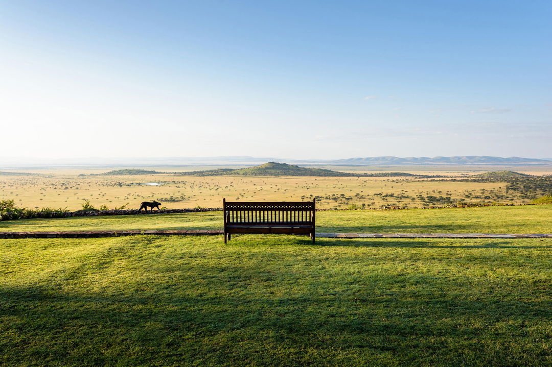 lone bench on the lawns of Singita Sasakwa lodge in Serengeti for viewing the plains below