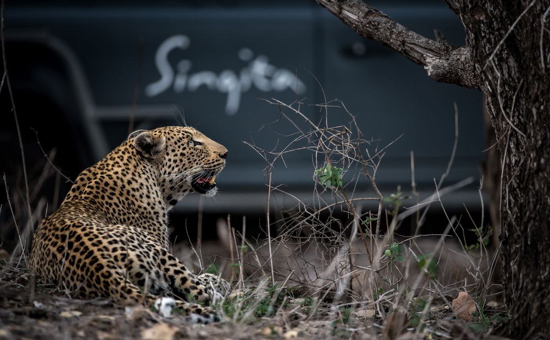 Singita Lodges