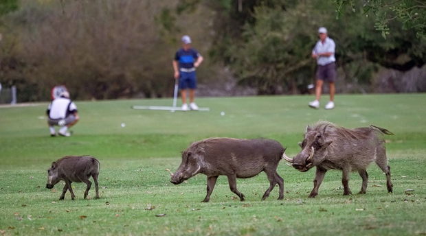 Skukuza Golf Course Kruger National Park