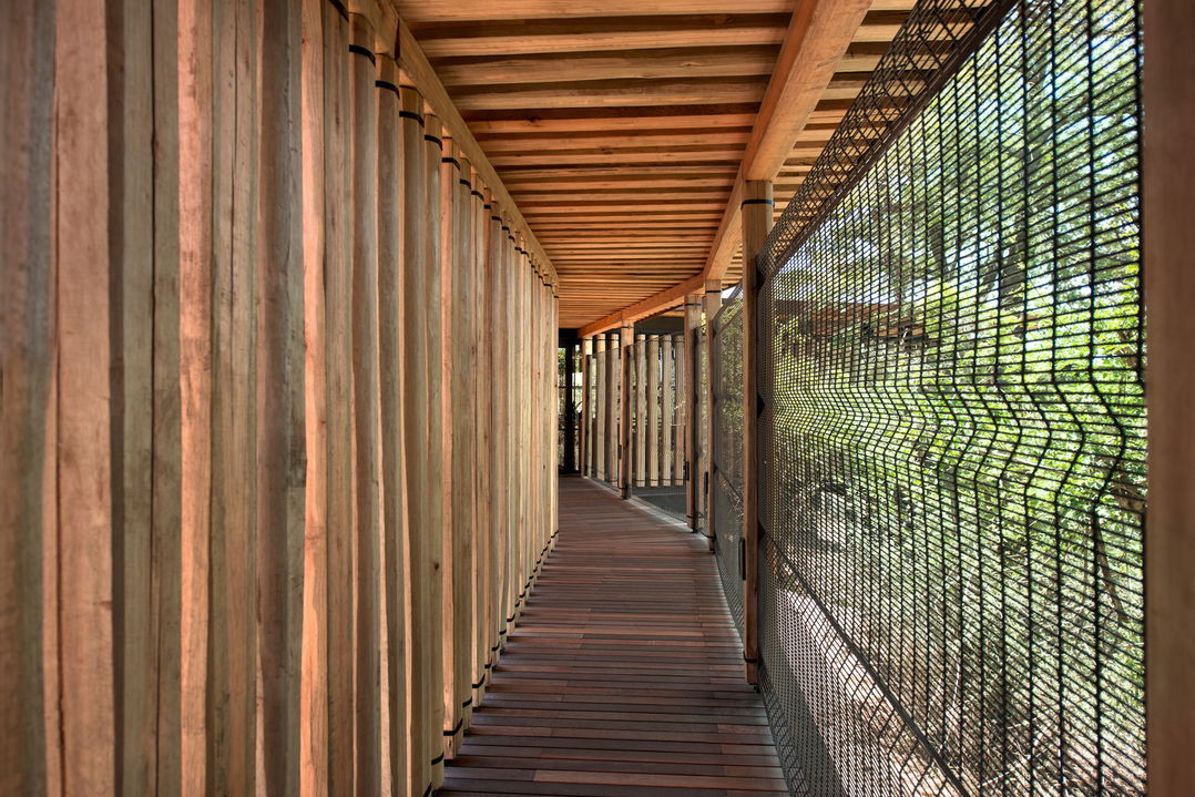 walkway view of lodge at &Beyond Tengile River Lodge Sabi Sands