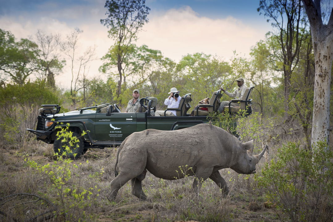 black rhino sighted on game drive by guests at andBeyond Tengile river lodge