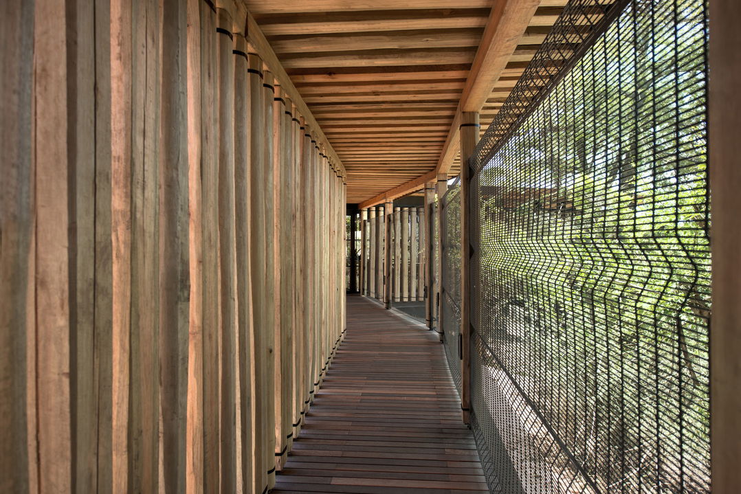 passageway to suites of lodge at &Beyond Tengile River Lodge Sabi Sands