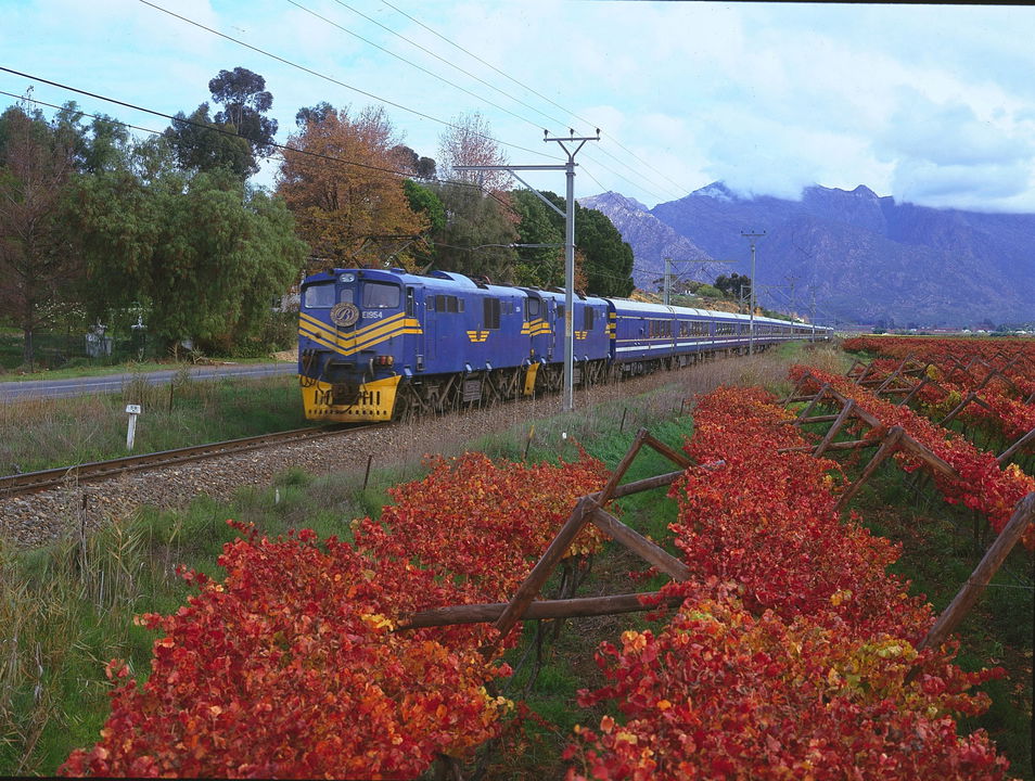 blue train exterior on track in cape province