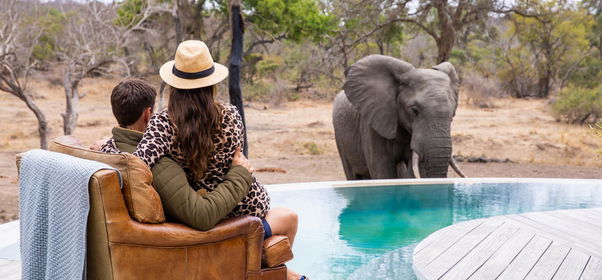 Thornybush Collection Special Offer