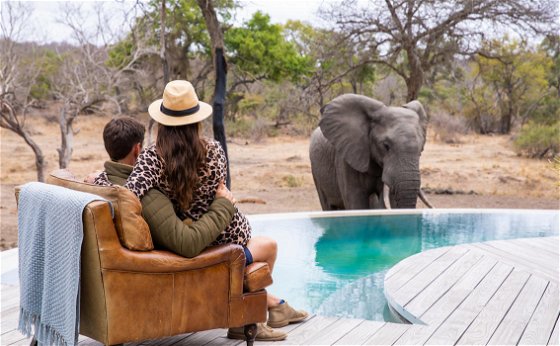 Thornybush Collection Special Offers 