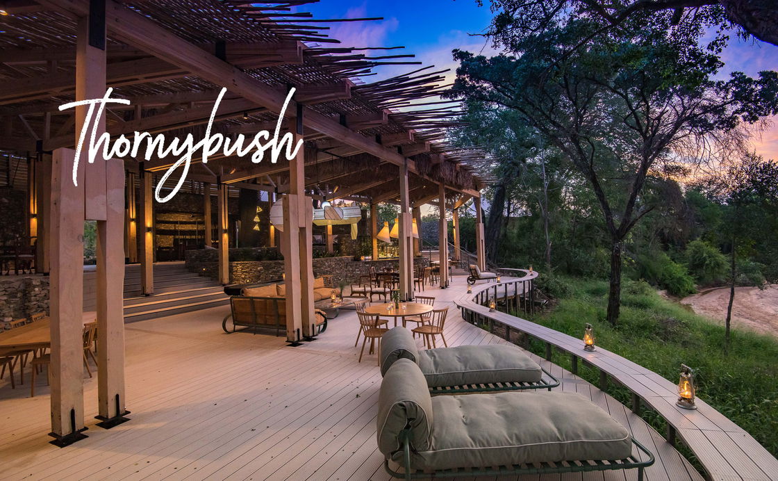 Thornybush Collection