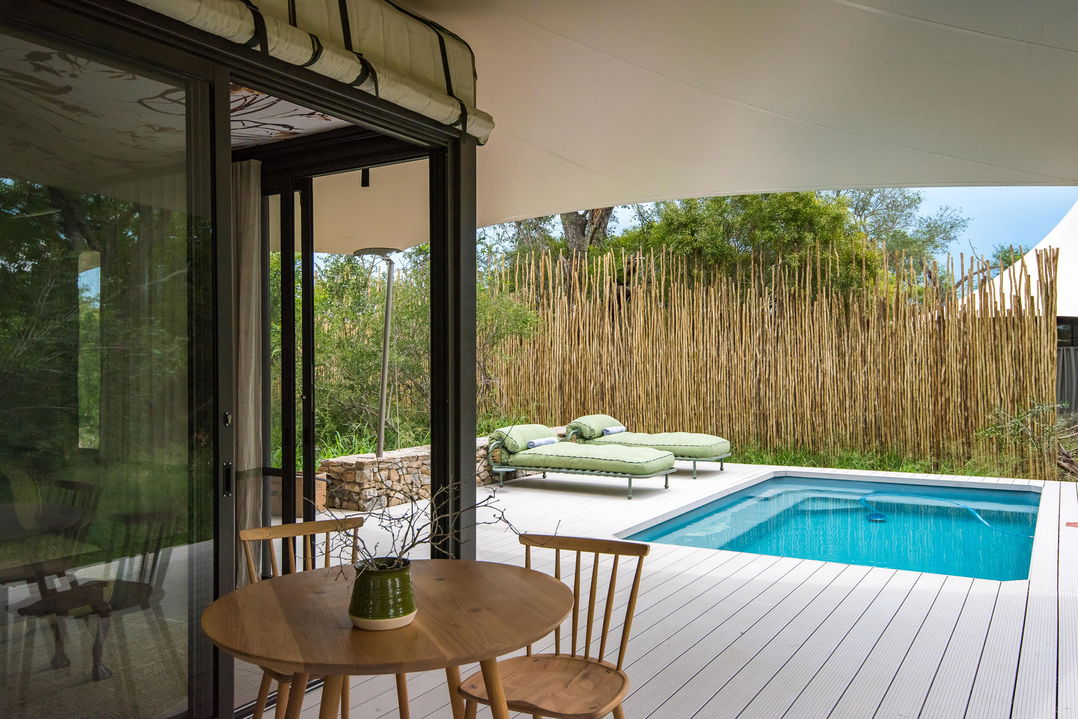 deck view with pool at room of thornybush saseka tented camp