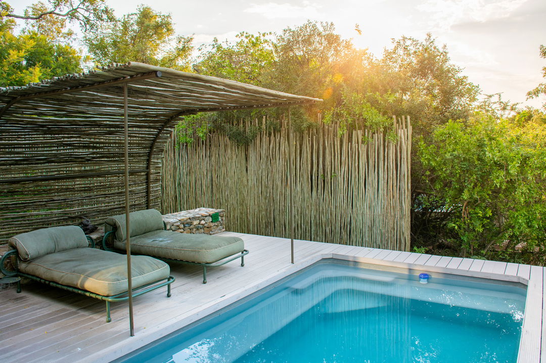 day bed by splash pool of thornybush saseka tented camp
