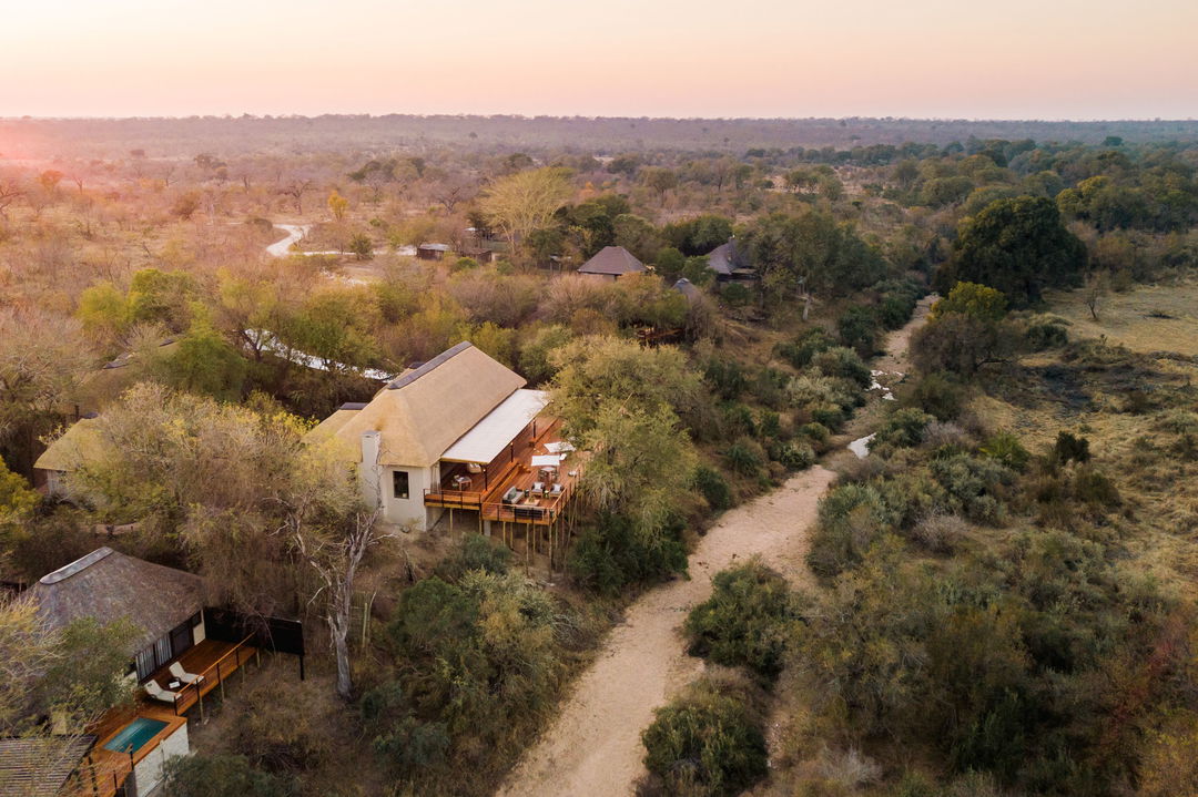 another arial view of thornybush simbambili at sunset