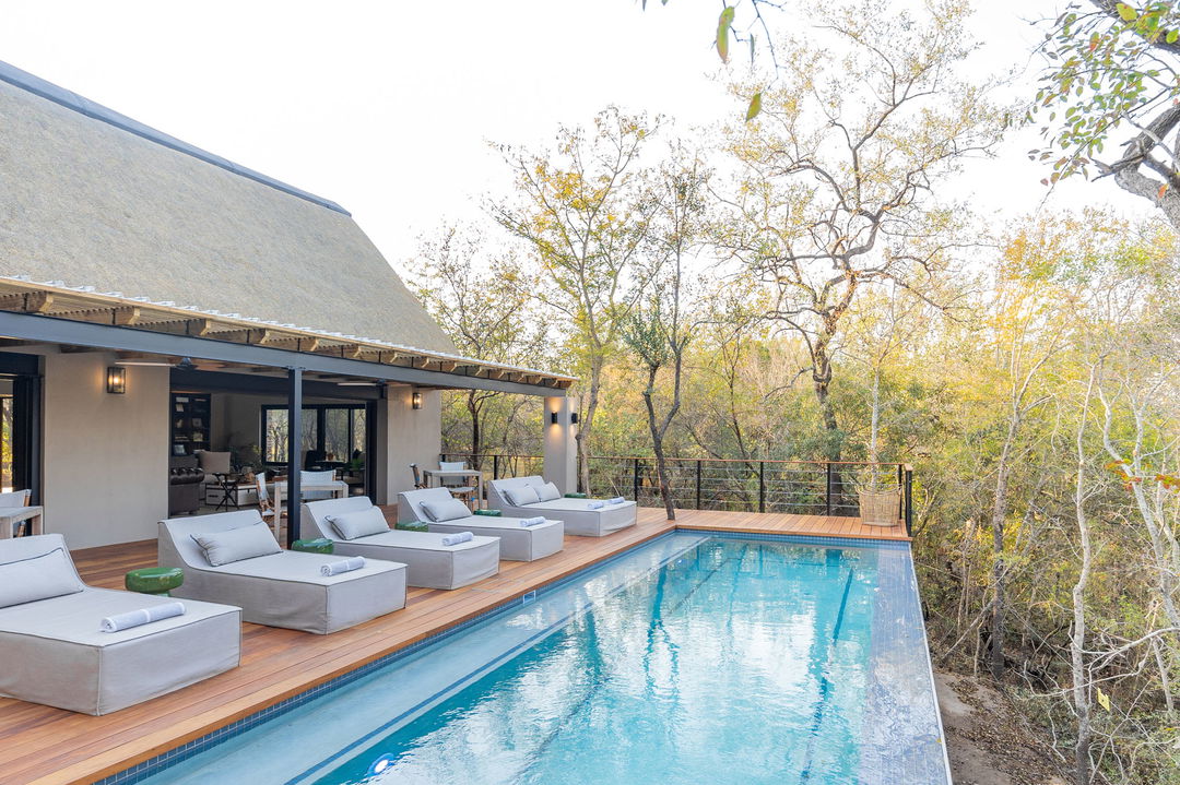 afternoon view of pool and deck area of thornybush simbambili
