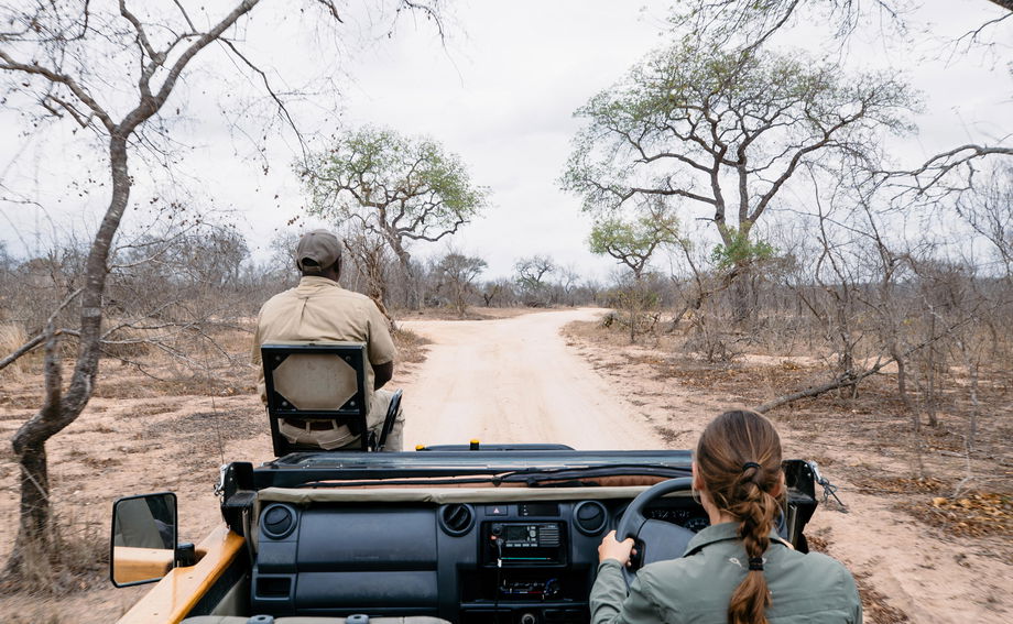 guests going on a private vehicle safari at Thornybush