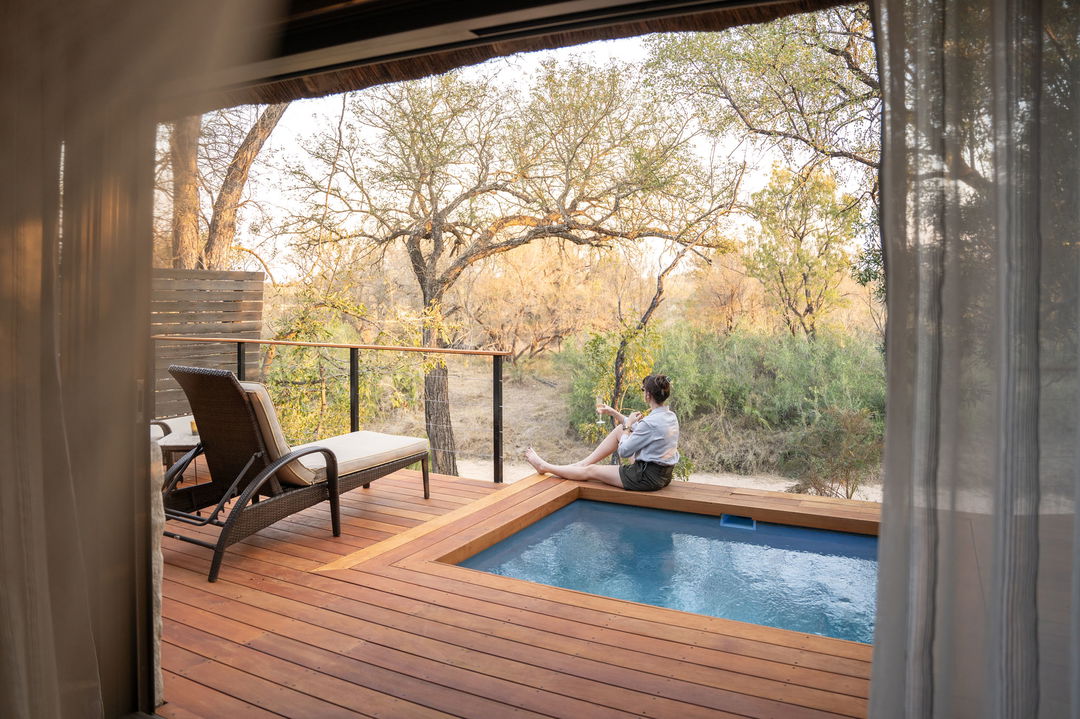 lady relaxing by splash pool at room of thornybush simbambili lodge