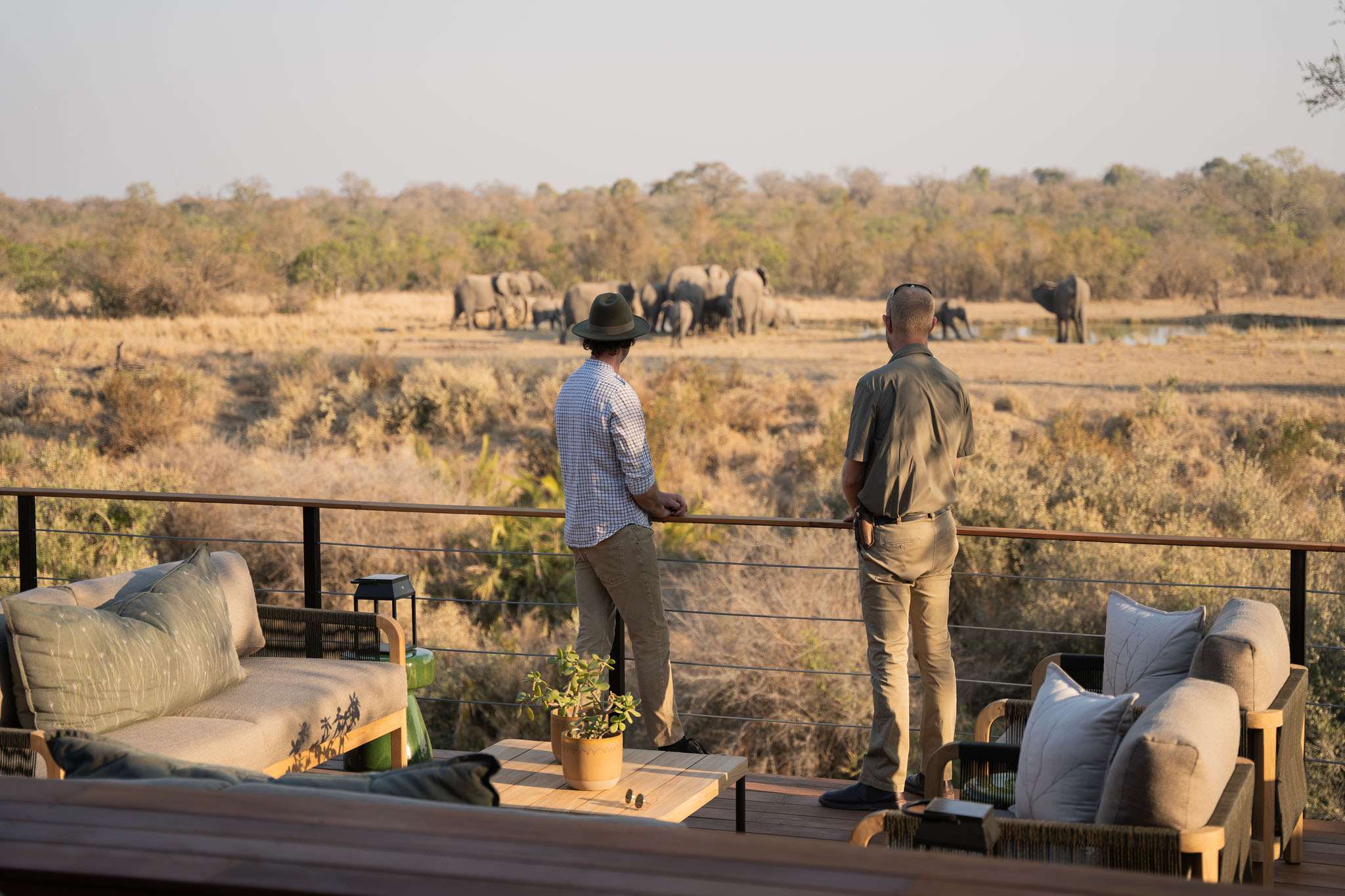 two male guests looking from deck at elephants in distance at Simbambili lodge Thornybush