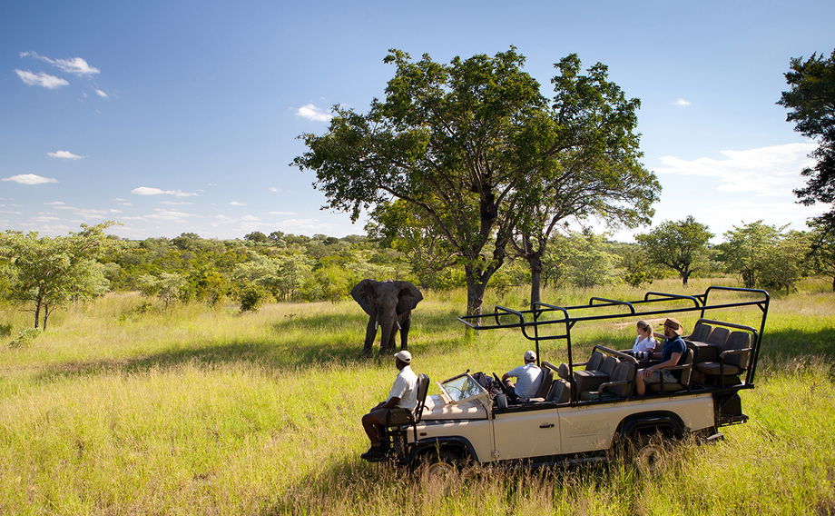 guests on a game drive at ulusaba spotting an elephant next to vehicle