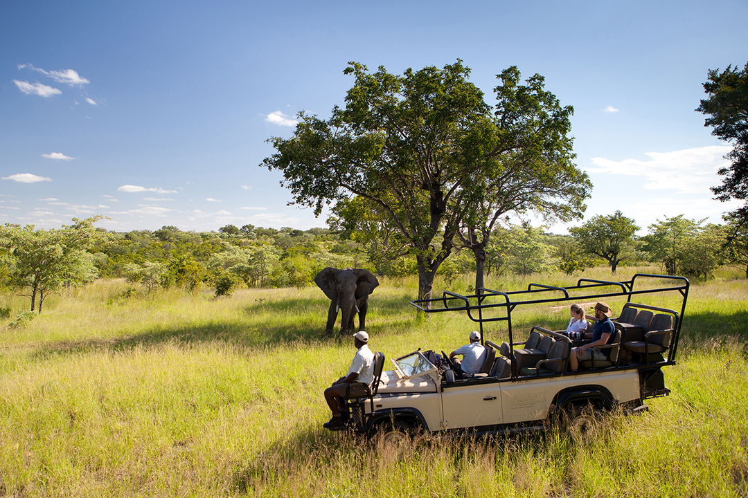 guests on a game drive at ulusaba spotting an elephant next to vehicle