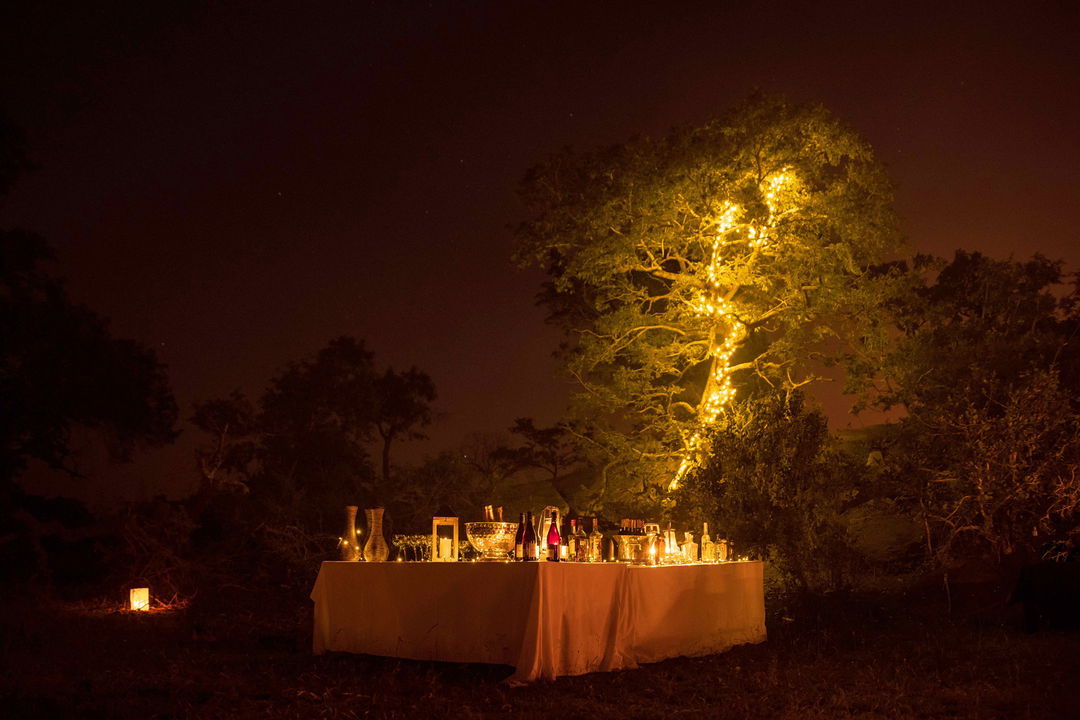 table set with drinks and food under an illuminated tree at night in Ulusaba 