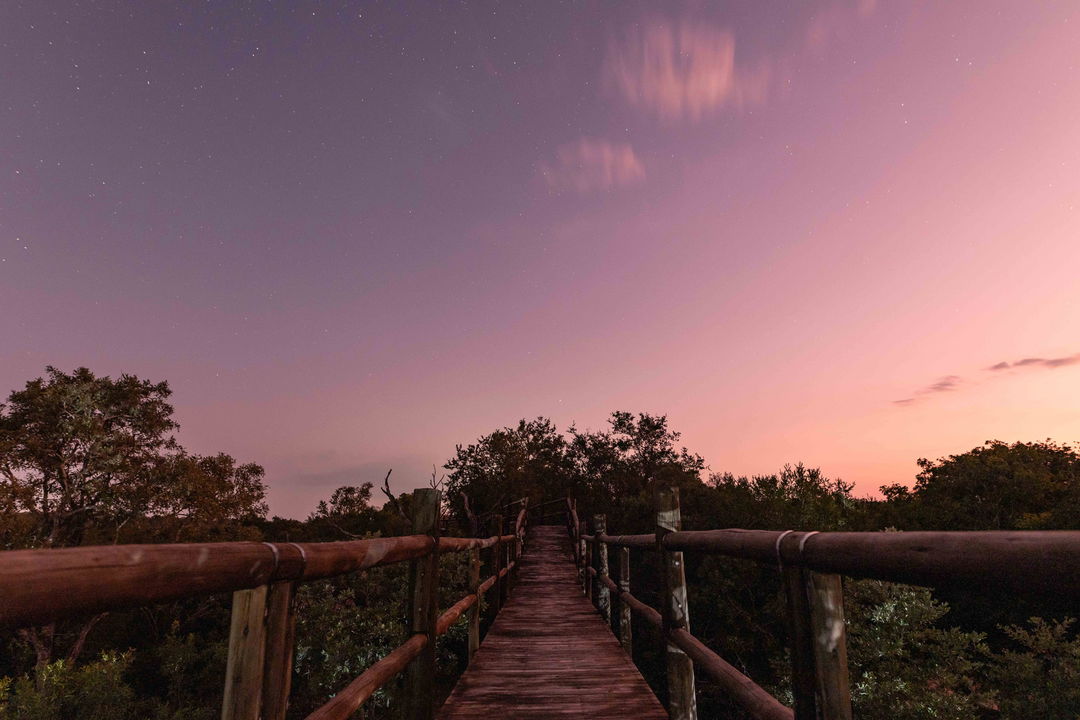 bridge at Ulusaba lodge at knight illuminated with starry sky