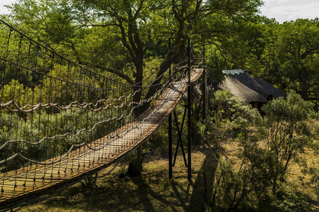 suspension bridge to rooms at ulusaba safari lodge