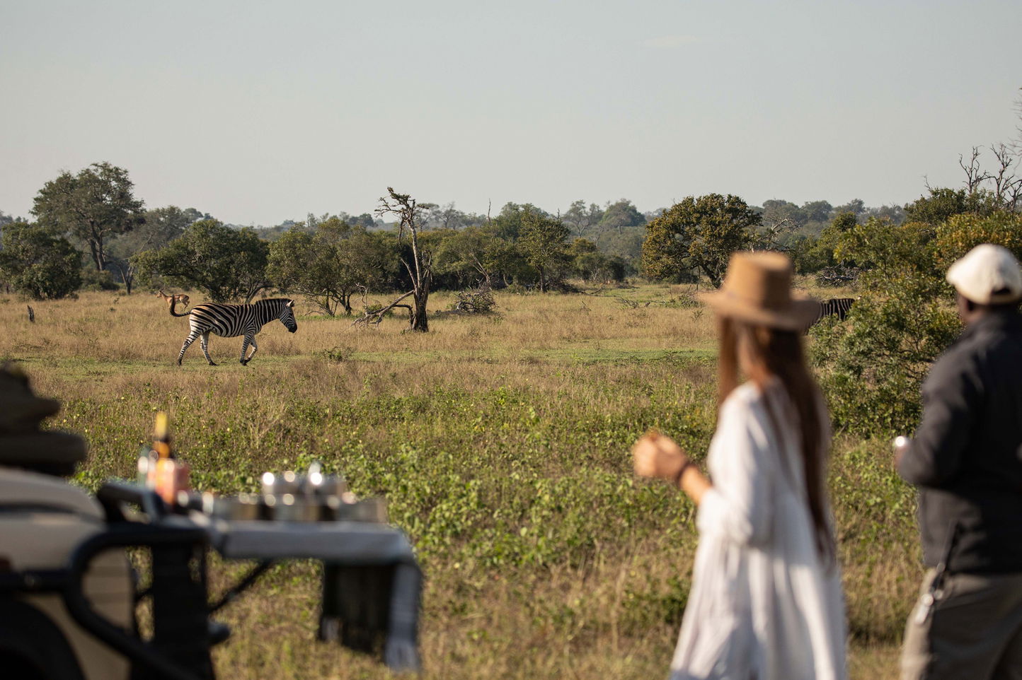 safari guide with vehicle showing lady guest two zebras in background ay Ulusaba