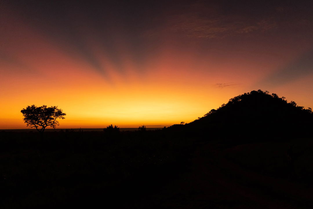 sunrise view of ulusaba rock lodge in background