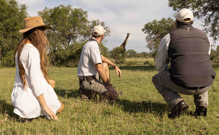 two guides kneeling in grass showing lady on safari a giraffe in background at Ulusaba game reserve two guides kneeling in grass showing lady on safari a giraffe in background at Ulusaba game reserve