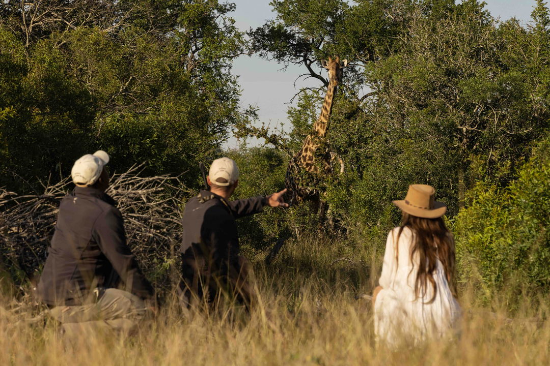 two guides kneeling in grass showing lady on safari a giraffe in background at Ulusaba safari lodge